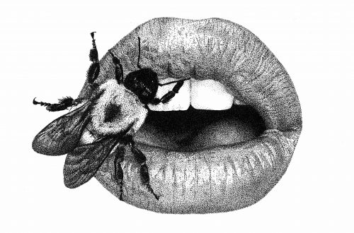 Irving Penn, Bee on Lips